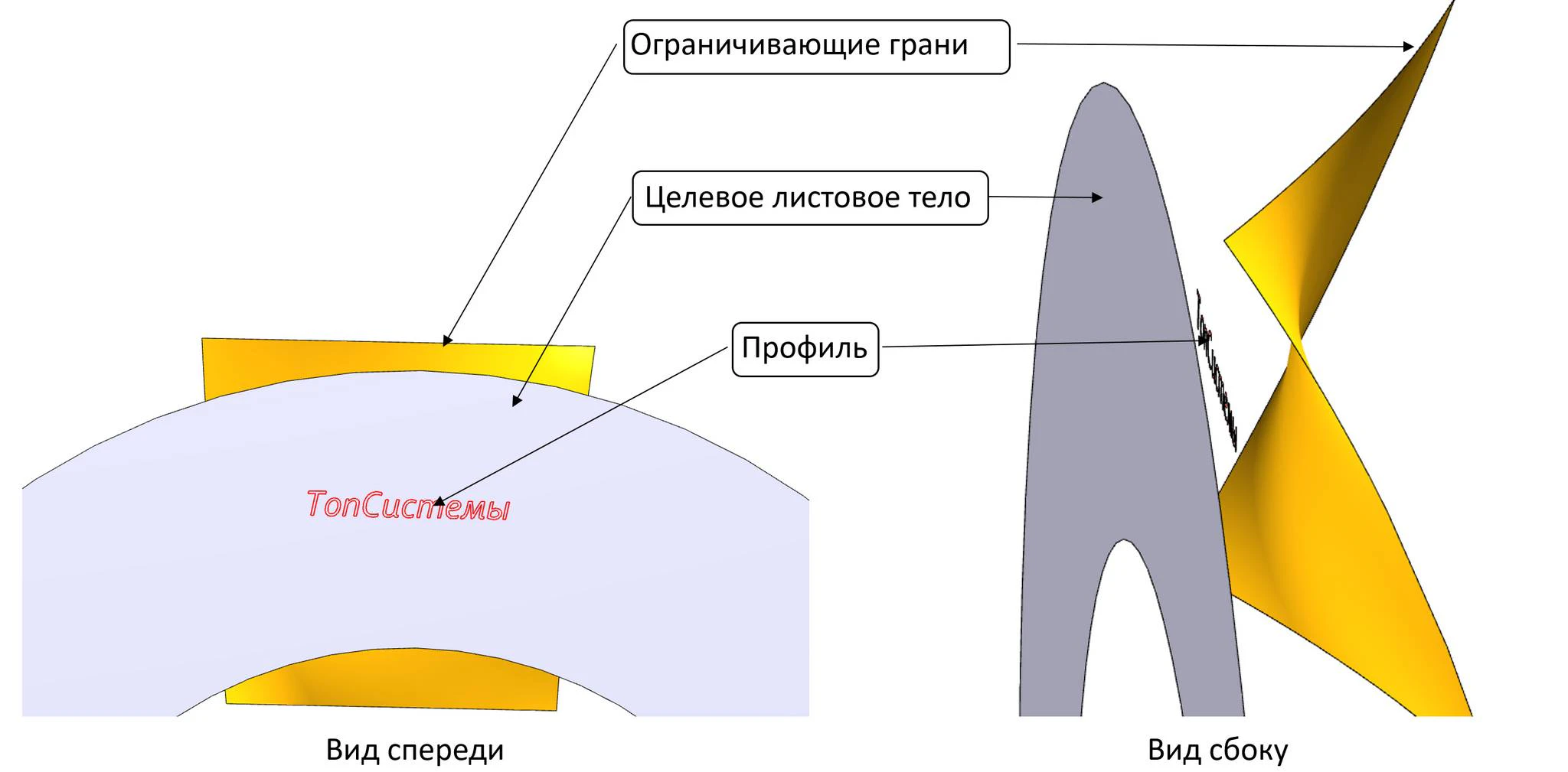 Фото новости